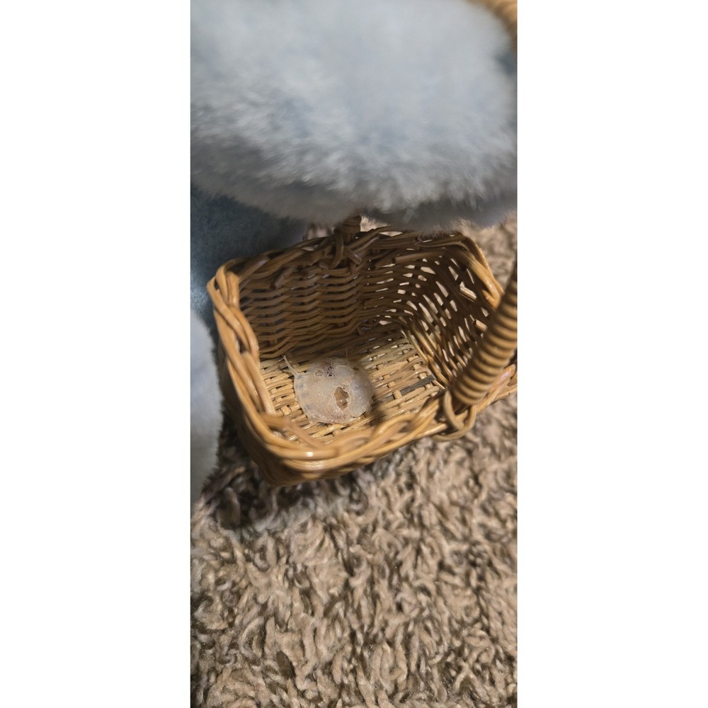 Robert Raikes Wood Face Bunny Rabbit Plush Daniel Stuffed Animal Basket No Egg - Picture 6 of 16